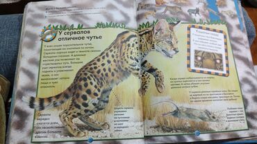 Uşaqlar üçün digər mallar: Детские сказки,в идеальном состояние несколько книжек новые.цены от 3 — 6