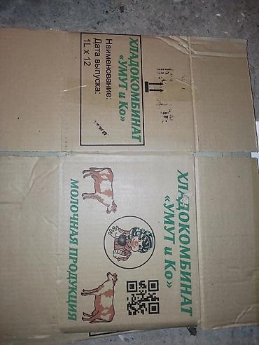 Товары и оборудование для с/х животных: Умут
умут каропки продаем — 2