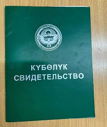 участок учхоз: 200 соток, Для сельского хозяйства — 1
