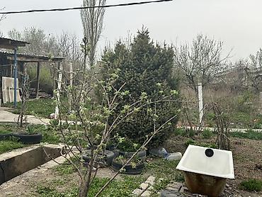 Продажа коттеджей и домов: Дом с участком - Кирпичный одноэтажный дом с мансардным треугольным — 3