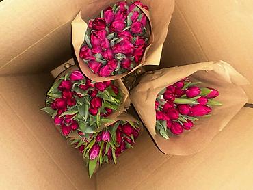 Другие садовые цветы и кустарники: В наличии Тюльпаны🌷💐 имеются в ярких и разных цветах . также есть — 2