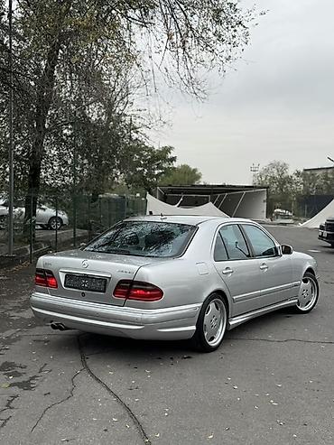 Унаа: Mercedes-Benz E-class AMG: 1999 г., 5.4 л, Автомат, Бензин, Седан — 6