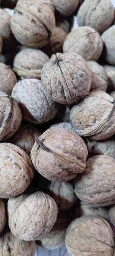 Сухофрукты, орехи, снеки: Продаю грецкий орех30-40кг по 70сом/1кг. торг возможен