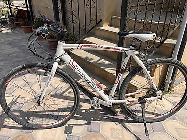 Velosipedlər: Bottecchia Lite Cross şəhər/trekking velosipedi -/model: Bottecchia — 1