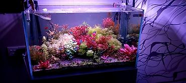 akvarium satışı: 70x40x40 Göründüyü vəziyətdə satılır. İşıqdan başqa bütöv komplekt — 1