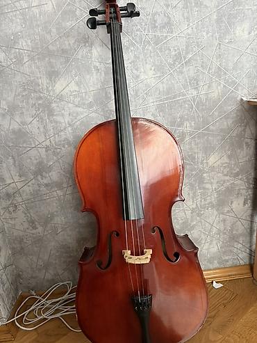 violoncel: Violoncel – klassik tərtibatlı, tam ölçülü model 3/4 olcude - — 1