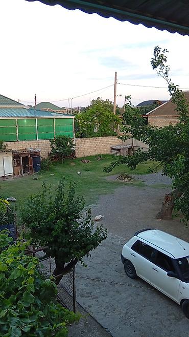 visnofkada torpaq: Tikinti — 1