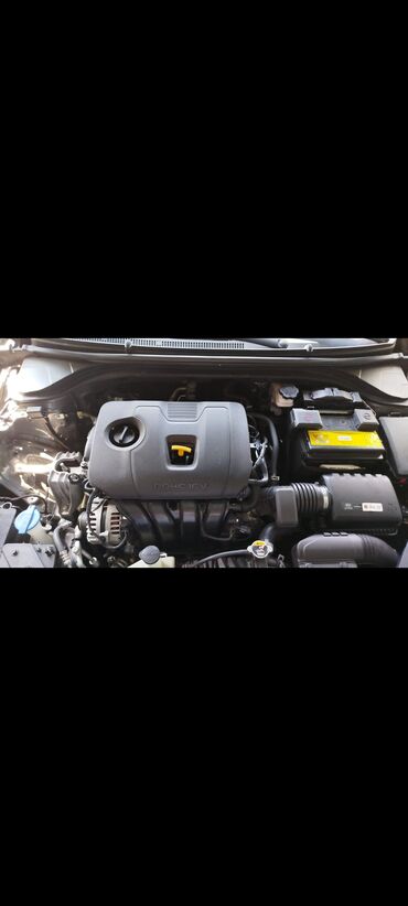 Hyundai: Hyundai Elantra: 2 l | 2019 il Sedan — 16