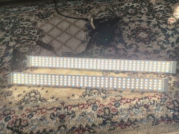 Принтеры: Филаменты от 1300, камера, сушилка филамента, см. картинки 3 д — 5