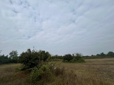 Torpaq sahələrinin satışı: 110 sot, Tikinti — 11