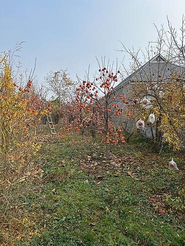 Torpaq sahələrinin satışı: Tikinti — 14
