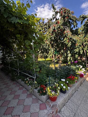 Продажа домов: Дача, 90 м², 4 комнаты, Собственник, Евроремонт — 11