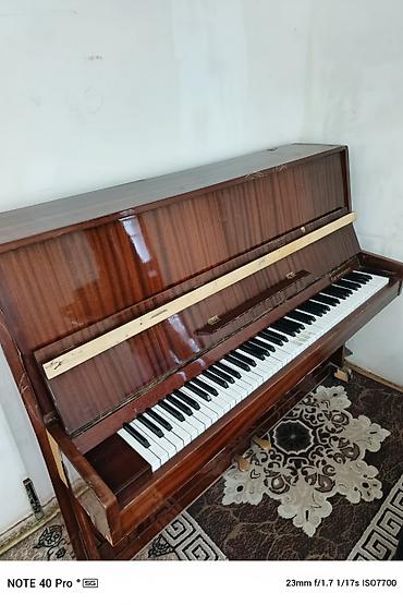Hec bir problemi yoxdur. Seliqeli pianodur ciddi sexsler yazsin