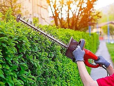 кусторез: Кусторез Texa электрический ижара + продажа ориентир рабочий городок — 4