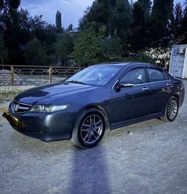 клей для авто: Honda Accord: 2007 г., 2.4 л, Автоматические, Газ, Седан