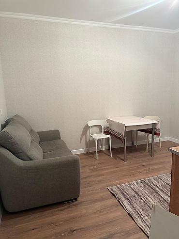 Долгосрочная аренда квартир: 2 комнаты, С мебелью полностью — 9