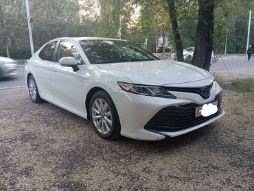 Toyota: Toyota Camry: 2019 г., 2.5 л, Автомат, Бензин, Седан