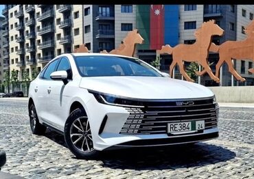 icarəyə taksi: Salam Bolta iş axtaram sertifqat var 7 ilden artıq tecrübe Ümid 29 yaş