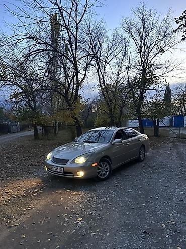 Lexus ES: 2005 г., 3.3 л, Автомат, Седан