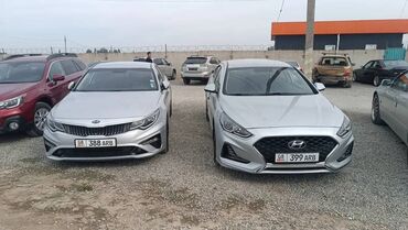 аренда автомобиля хюндай соната: Сдаю в аренду авто машины Хундай и Киа Машины застрахованы КАСКО