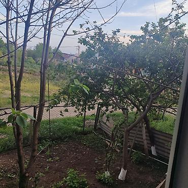 quba bina evleri: 2 otaqlı, 8 kv. m, Kredit yoxdur, Təmirsiz — 7