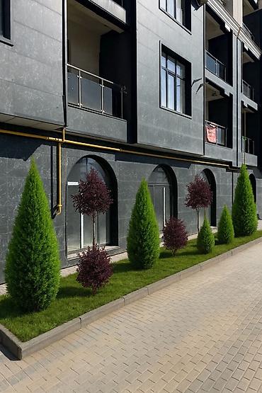 Швея: АВТОПОЛИВ ПОД КЛЮЧЬ 🏡 Профессиональное проектирование, монтаж и — 23