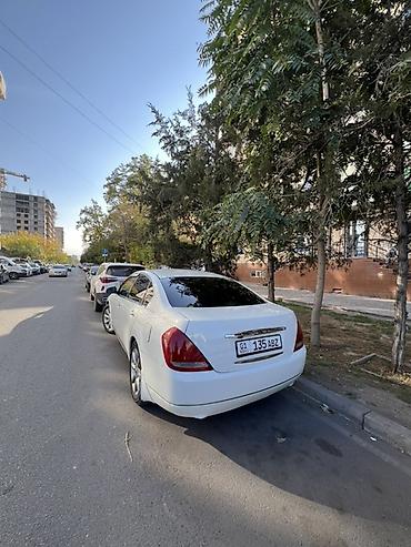 nissan note решетка радиатора: Nissan Teana: 2005 г., 2.3 л, Автомат, Бензин, Седан — 1