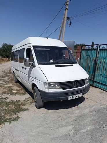 Mercedes-Benz: Mercedes-Benz Sprinter: 1999 г., 2.9 л, Механика, Дизель, Бус