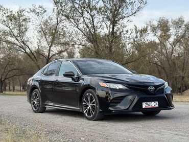 ремень безопасности камри: Toyota Camry: 2019 г., 2.5 л, Автомат, Бензин, Седан