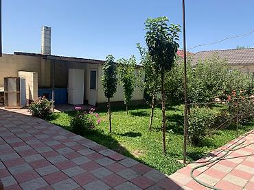 Продажа коттеджей и домов: ‼️Продается Дом с действующим Бизнесом в перспективном районе — 12