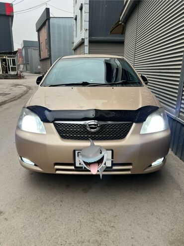 Toyota: Toyota Allex: 2003 г., 1.8 л, Автомат, Бензиновая, Хэтчбэк — 1