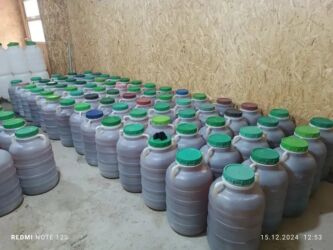 дубай шоколад бишкек: Продаю ысык Атинский горный мёд только оптом 
бал сатылат оптом