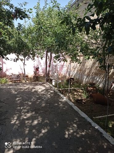 Həyət evləri və villaların satışı: 6 otaqlı, 3000 kv. m, Kredit yoxdur, Orta təmir -da lalafo.az — 13 Həyət evləri və villaların satışı: 6 otaqlı, 3000 kv. m, Kredit yoxdur, Orta təmir — 13