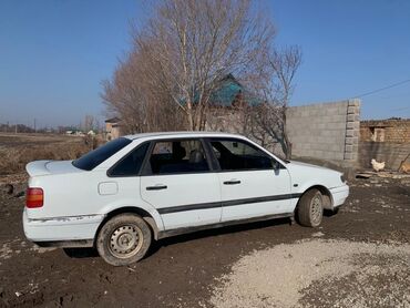 passat b2: Фольксваген Пассат год:1995 штраф арест. жок сразу оформления болот