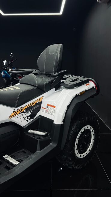 Квадроциклы: Квадроцикл Бензин, 1000 куб. см, Взрослый — 5