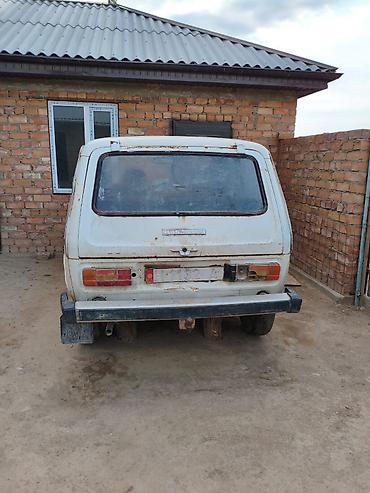 уваз нива: ВАЗ (ЛАДА) 2121 (4x4): 1984 г., 1.7 л, Механика, Бензин, Внедорожник — 4