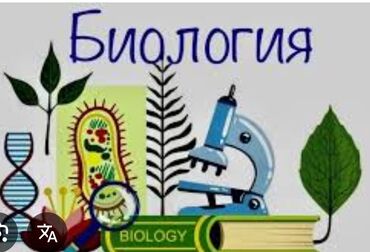 работа на дому упаковка духов бишкек: В СОШ 66 нужны учителя химии и биологии