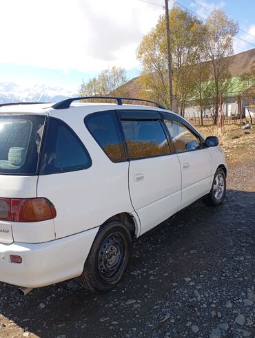 тойота эхо купить: Toyota Ipsum: 1997 г., 2 л, Автомат, Бензин, Седан