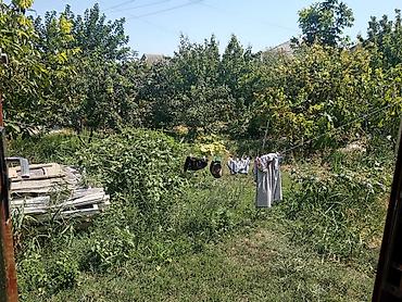 binədə satılan evlər: 1 otaqlı, 45 kv. m, Kredit yoxdur, Təmirsiz — 10