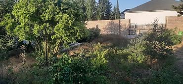 Torpaq sahələrinin satışı: Tikinti — 1