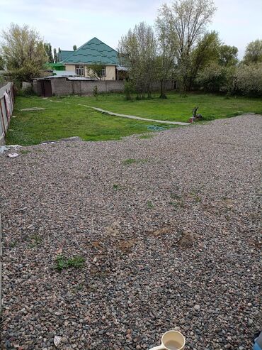 куплю дом в панфиловском районе чалдоваре: 12 соток, Для бизнеса