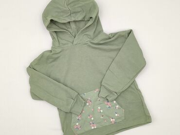 Sweatshirts: Sweatshirt, H&M, 5-6 years, 110-116 cm, condition - Perfect