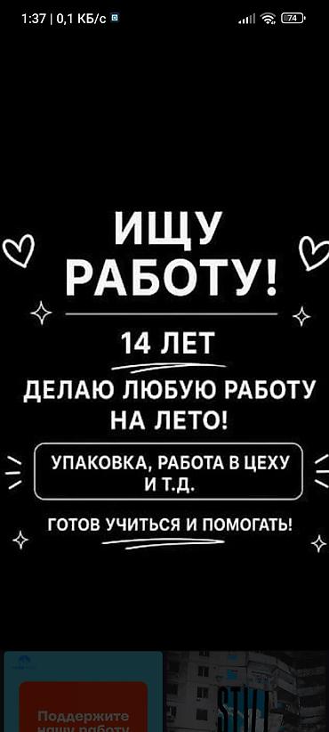 Ищу работу 14 лет. Готов выполнять любую посильную работу: помощь в