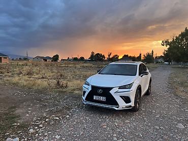300 000: Lexus NX: 2020 г., 2 л, Автомат, Бензин, Кроссовер — 5