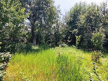 haunted mound: ПИСАТЬ НА СЧЕТ ПОЛНОЙ ИНФОРМАЦИИ НА НОМЕР 12 соток Дом с пристройкой — 8