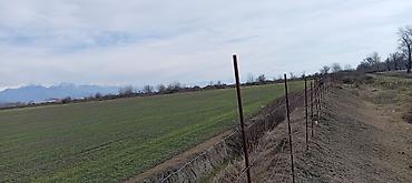 Torpaq sahələrinin satışı: Kənd təsərrüfatı — 6