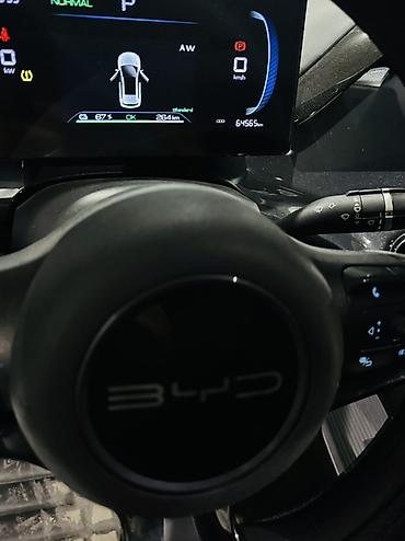 шампунь авто: BYD E2: 2023 г., Автомат, Электромобиль, Кроссовер — 7