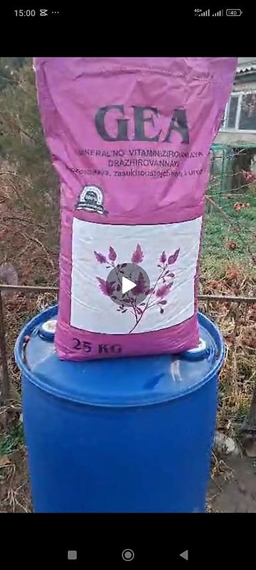 Кормовые растения: Семена кормовых растений: Люцерна, Самовывоз, Бесплатная доставка, Платная доставка — 4