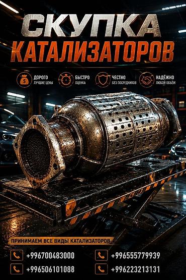 катализ: Сервис: скупка автомобильных каталитических нейтрализаторов. Что — 1