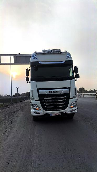 814 d: Тягач, DAF, 2020 г., Холодильник, рефрижератор — 1